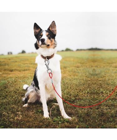 Dog Tie Out Cable and Stake Heavy Duty Dog Tie Out Stake Sturdy Dog Lead Stake Dog Camping Stake for Outdoor Yard and Camping Puppy Pet and Medium Dogs Red - Buy Online on SooperMarket.com