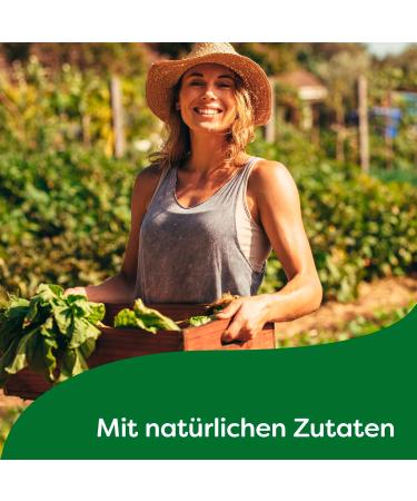 Knorr Beef Bouillon Soup 330g - Rich Flavor Natural Ingredients for International Shipping - Buy Online on SooperMarket.com