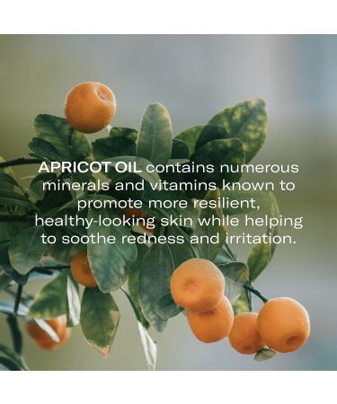 Odacit Anti-Aging Serum Concentrate with Apricot & Palmarosa - Fragile Capillaries & Redness - Ultra-Soothing Facial Serum - 0.17 Fl. Oz - Buy Online on SooperMarket.com