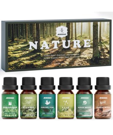 Nature Essential Oils Set ARVIDSSON Natural Fragrance Oil Premium Scented Oils for Diffuser Fresh Cut Grass Forest Pine Ocean Breeze Rain Sandalwood Oakmoss