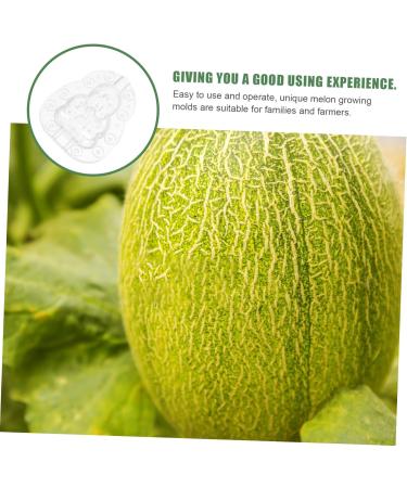 SUPVOX 12 pcs Creative Shaped Melon Vegetable Pumpkin Growing Moldfruit Shaper Adorable Fruits - Buy Online on SooperMarket.com