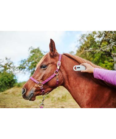 OUTPAW RFID Animal Chip Reader - Microchip Scanner for Animal Identification & ISO Transponder - Buy Online on SooperMarket.com