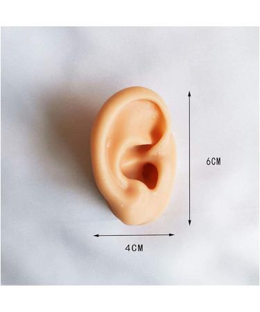 Model Medical Teaching Model Soft Silicone Tube Model for Teaching - Silicone Tube Model for Acupuncture - Simulation for Earpicking Practice Stud Earrings - Buy Online on SooperMarket.com