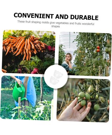 Kisangel 2pcs Ingot Shaped Mold Vegetables Cucumber Mold Fruit Growing Shaper Gardening Supplies Stereotypes - Buy Online on SooperMarket.com