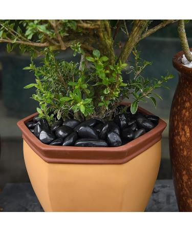 Hisredsun 3.96 lb Black Polished Stones Natural River Pebbles Gravel for Aquarium Flowerpot Landscaping Vase Fillers and Garden Decoration 1.8 Kilograms Black - Buy Online on SooperMarket.com