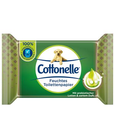 Cottonelle moist toilet paper soothing cleanliness with prebiotic lotion biodegradable plastic -free reclaimable single pack 38 wet wipes 38 pieces (1 Pack)
