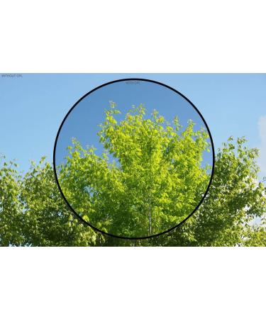 High Grade Multi-Coated 3 Piece Lens Filter Kit for Panasonic Lumix DMC-FZ200 | DMC-FZ300 - Buy Online on SooperMarket.com