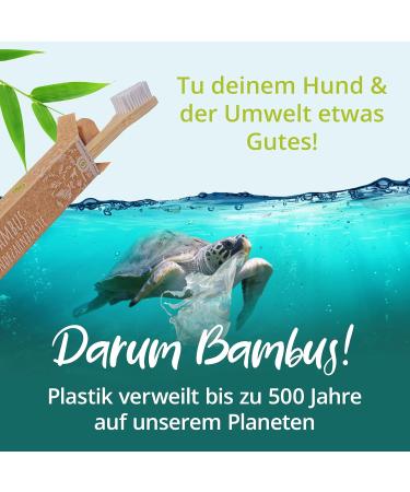 Buy Bamboo Toothbrush for Dogs & Cats - 2 Pack | 100% BPA-Free Dental Care for Clean Teeth & Environment - Buy Online on SooperMarket.com