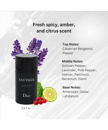 Christian Dior Sauvage for Men Deodorant Stick 2.6 Ounce 2.65 Ounce (Pack of 1) - Buy Online on SooperMarket.com