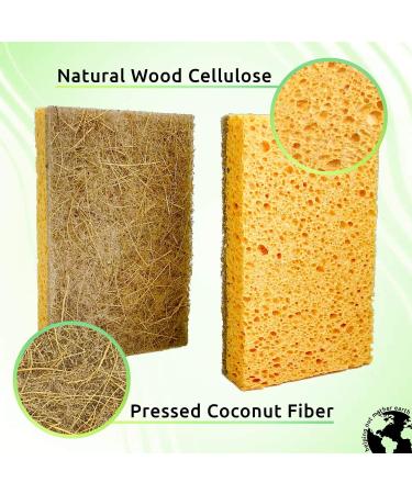 Natural Sponge 10 Pack - Eco-Friendly Kitchen Sponge | Biodegradable Plant-Based Cleaning Dish Sponge - Buy Online on SooperMarket.com