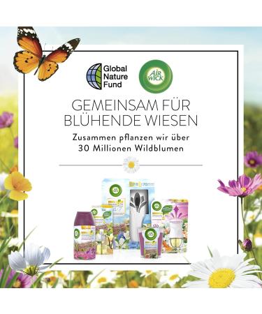 Air WICK Fragrance Oil Duo - Summer Pleasure Fruity Fresh Room Fragrance | Eco-Friendly Plastic-Free Packaging - 2 Pieces - Buy Online on SooperMarket.com