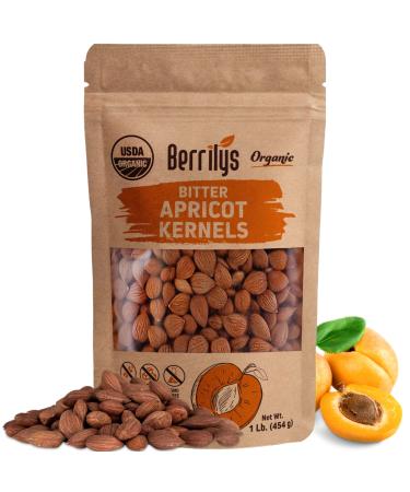 USDA Organic Bitter Apricot Kernels 1 lb (16 oz), Natural Bitter Apricot Seeds, Vegan, Non-GMO, Gluten Free