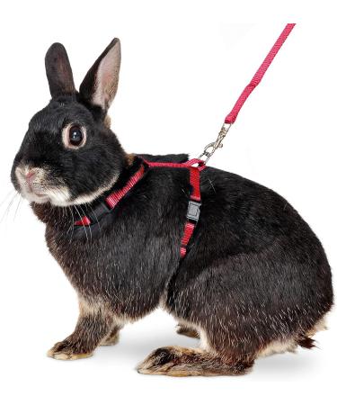 Buy Karlie Art Sportiv Plus Rabbit Harness & Leash - Red 140 cm | Durable Comfortable eCommerce Shipping Worldwide - Buy Online on SooperMarket.com