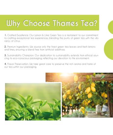 Thames Tea | Premium Flavoured Loose Leaf Tea | Fruit & Herbal Blend | Luxury British Tea Experience | Tubebox (Lemon & Lime Green Tea) - Buy Online on SooperMarket.com
