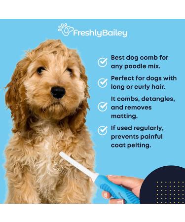 Pet Detangler Brush for Long Haired Cats & Dogs - Best Combs for Grooming, Removes Mats & Prevents Tangles - Ideal for Goldendoodle, Poodle Mixes & Cat Undercoat - Buy Online on SooperMarket.com