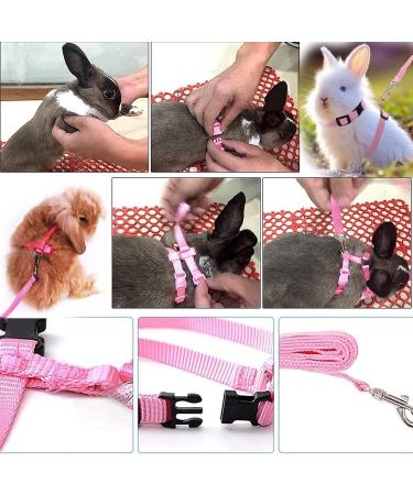 Adjustable Rabbit & Pet Harness Set - Blue & Pink Leash for Dogs Kittens Rabbits & Guinea Pigs | International Shipping - Buy Online on SooperMarket.com