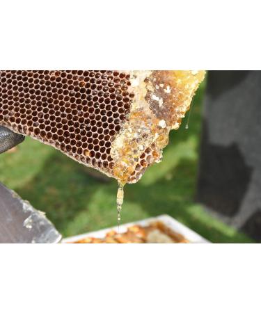 Pure Raw Honey with Pollen & Beeswax - 1kg Unheated & Natural | Premium Angel Root Honey - Buy Online on SooperMarket.com