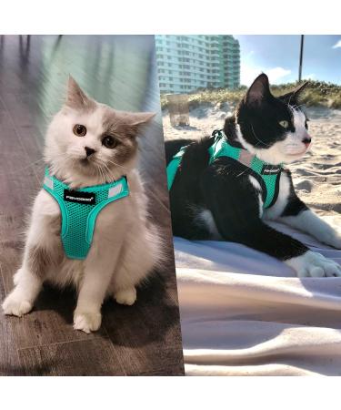 Fayogoo Cat Dishes - Durable Linen Cat Bowls with Leash Breathable & Reflective Stripes - Perfect for International Shipping - Buy Online on SooperMarket.com