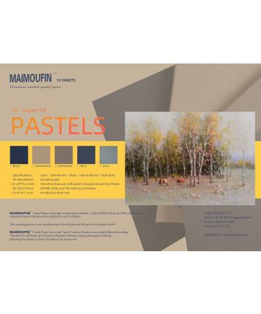 MAIMOUFIN 10 Sheets Sanded Pastel Paper 15.4 * 10.7inch Pastel Paper for Dry Wet Painting  Art Supplies Craft Paper Warm Color Sanded Paper for Pastels Pencils & Charcoal Soft Pastels (Warm Brown)