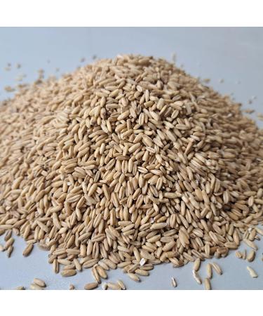 Mills Naked Oats 1000g - Whole Grain Oat Kernels Fresh from R tze Mill | Best Quality Oats for International Shipping - Buy Online on SooperMarket.com