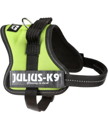 K9 Powerharness XS/Mini-Mini - Lightweight & Durable Dog Harness in Kiwi Color for Ultimate Comfort and Control | International Shipping Available - Buy Online on SooperMarket.com