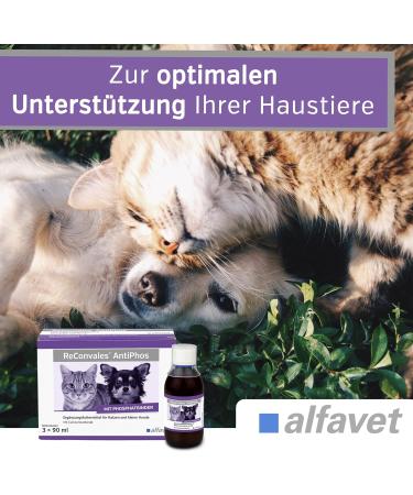Alfavet Reconvales Antiphos - Kidney Support for Cats & Dogs | Nutritional Supplements with Phosphate Binders - 3 x 90ml Bottles - Buy Online on SooperMarket.com
