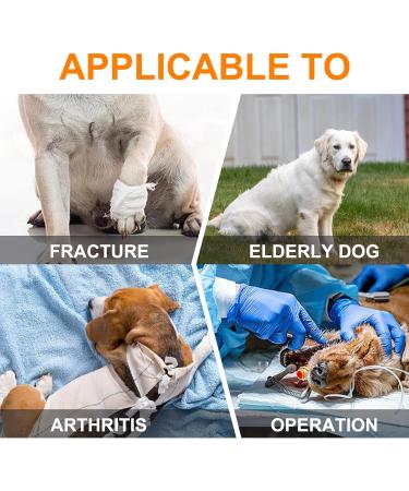 Buy Hamon Portable Dog Harness for Hind Legs - Adjustable Lifting Aid for Older Sick or Post-Operative Dogs (XL) - International Shipping Available - Buy Online on SooperMarket.com