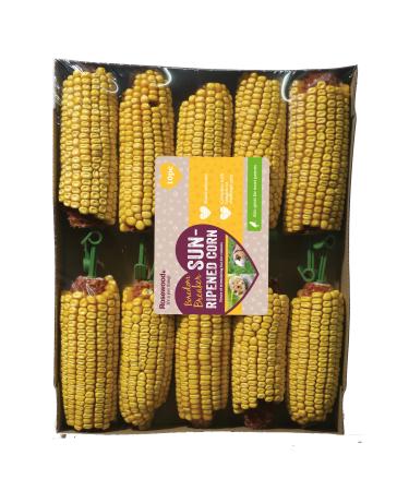 Rosewood Boredom Breaker Sun-Ripened Corn Rabbit Treats & Small Animal Treats Pack of 10