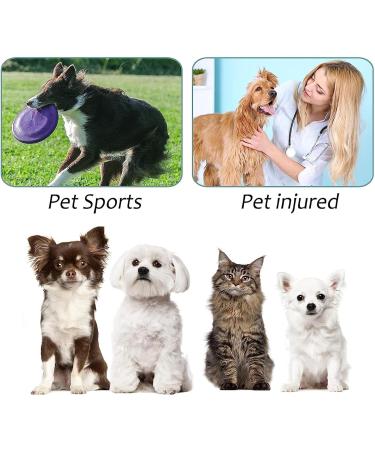 2 Pairs Anti Slip Dog Socks Paws Stop Licking Dog Cat Paw Protectors with Waterproof Rubber Bottom and Adjustable Straps Dog Claw Socks for Puppy Dog Indoor Outdoor Hardwood Floor Walking (M) - Buy Online on SooperMarket.com