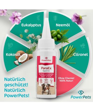 Powerpets Spot-On Tick Protection for Dogs - 100% Natural Effective Against Ticks Fleas & Parasites Includes Free Flea Comb | Seasonal Drops for Dogs - Buy Online on SooperMarket.com