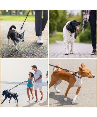 Adjustable Reflective Dog Leash for Large & Medium Dogs - 3M Nylon Lead with Double Carabiner Hooks - Buy Online on SooperMarket.com