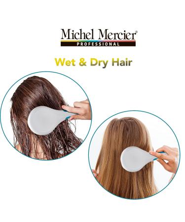 Michel Mercier Spa Brush - Detangling Hair Brush for Wet or Dry Hair - Shower Detangler for Women & Men - Thick Hair - Blue - Buy Online on SooperMarket.com