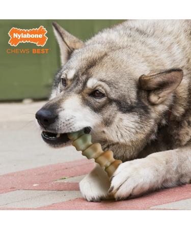 Nylabone Extreme Power Chew Gator Tail Alternative Dog Chew Toy Chicken Flavour - Large/Giant (Up to 23kg) - Buy Online on SooperMarket.com