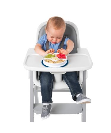 OXO Tot Stick & Stay Suction Divided Plate | Navy Blue | Best Child-Friendly Dinnerware for Easy Mealtime - Buy Online on SooperMarket.com