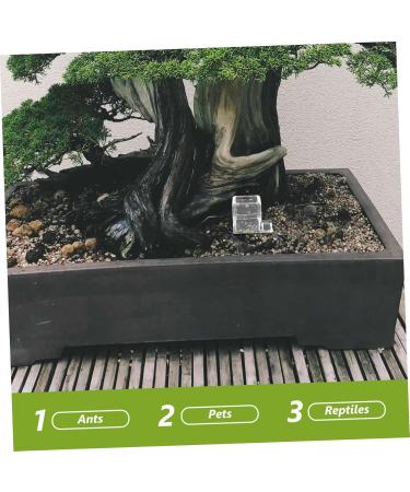 Kisangel Pet Water Feeder Insect Water Feeder Clear Ants Feeder Ants Waterer Cup Insect Feeder Plastic - Buy Online on SooperMarket.com