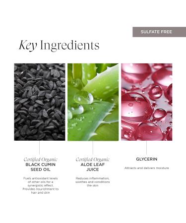 Intelligent Nutrients Seed Synergy Foaming Cleanser - Deep Cleaning & Hydrating Face Wash for All Skin Types | Vegan | 5 Oz - Buy Online on SooperMarket.com