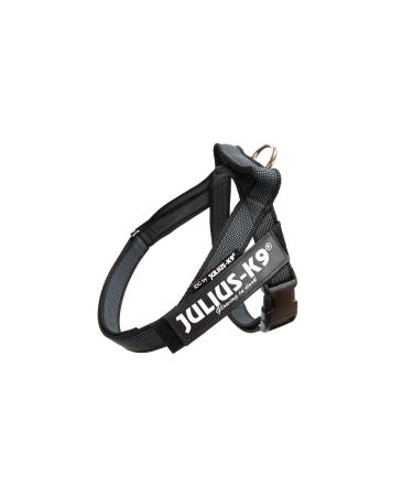 Julius-K9 IDC Color & Gray Belt Harness Size: S / Mini Black-Gray Black-Gray S/Mini