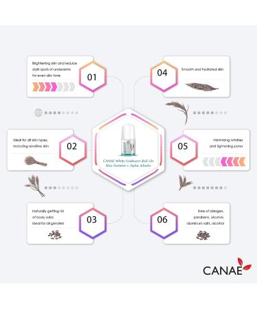 CANAE Underarm Skin Renewal Roll On: Best Natural Deodorant with Alpha Arbutin + Rice Ferment - Aluminum Free, for Sensitive Skin, Women and Men - Travel Size - Buy Online on SooperMarket.com