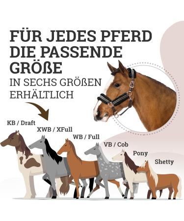 Esposita Halfter Champion Edition - Soft Fluffy Synthetic Fur Halter (COB/VB Black/Rose Gold) - Buy Online on SooperMarket.com