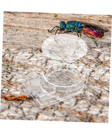 Housoutil Pet Water Feeder Ant Keeper Tools Ant Water Drinking Cup Ant Nest Supplies Ant Keeping Acrylic Basin - Buy Online on SooperMarket.com