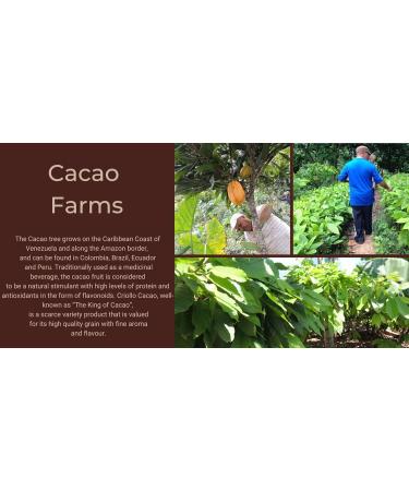 Cacao Buttons 100% Raw and Pure Cocoa Criollo Variety 250g Located in The Rainforest of Madagascar. - Buy Online on SooperMarket.com