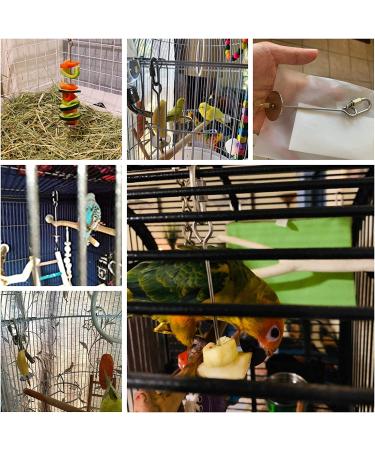 QBLEEV Stainless Steel Bird Food Holder - Parrot Fruit & Vegetable Stick Foraging Toy & Treat Skewer - Buy Online on SooperMarket.com