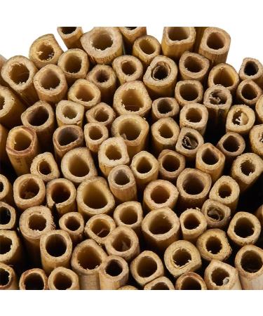 100 Pack Natural Bamboo Sticks for Crafts - 5.2 Long, 0.26-0.37 Thick - DIY Bee Houses, Jewelry Projects - Craft Supplies - Buy Online on SooperMarket.com
