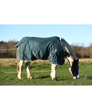 Lightweight No Fill Turnout Horse Rug Horse Turnout Rug 0g Fill 600d Lightweight No Fill Turnout Horse Rugs | Standard Neck Horse Rain Sheet (6'3'') - Buy Online on SooperMarket.com