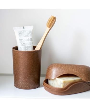 Croll & Denecke Soap box beech made of liquid wood - Buy Online on SooperMarket.com