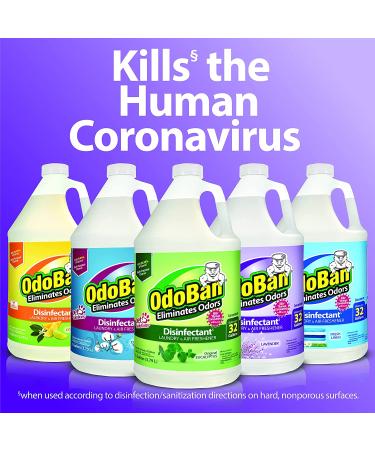OdoBan Fresh Linen Odor Eliminator and Disinfectant Concentrate (1 Gal.) - Powerful Cleaning Solution - Buy Online on SooperMarket.com