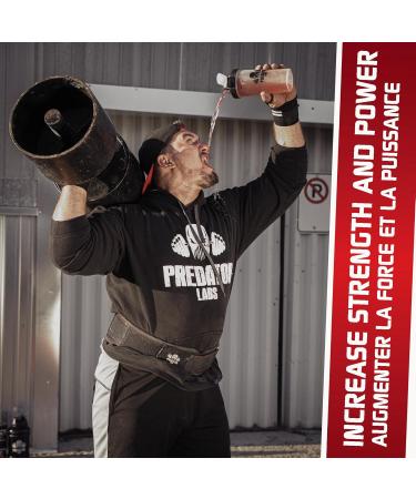 Predator Labs Big Foot Creatine 1000g 200 servings of our 99% pure monohydrate creatine double filtered for optimal absorption and unprecedented results supplement for muscle growth increased strength better energy production and improved athletic perform - Buy Online on SooperMarket.com