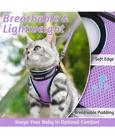Rabbitgoo Cat Dishes Set - Stylish Cat Linen with Leash | Perfect for Cats | International Shipping - Buy Online on SooperMarket.com