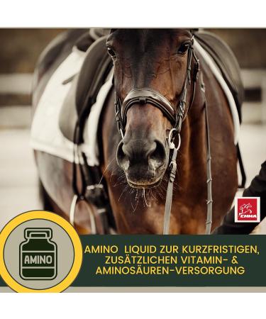 Premium Vitamin Paste for Horses | Amino Acids & Energy Booster | Muscle Regeneration & Performance | 3x30ml - Buy Online on SooperMarket.com