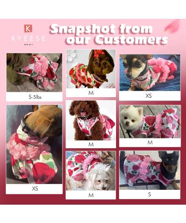 KYEESE Elegant Princess Dog Dress with Rose and Flowers Decor for Small Dogs - Medium Size | Spring Summer Dog Apparel - Buy Online on SooperMarket.com